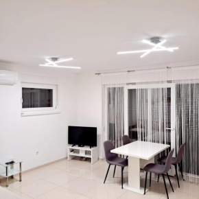 Apartment Roko